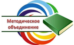 Районное методическое объединение учителей-дефектологов