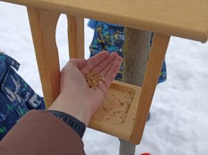 Забота о зимующих птицах!